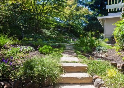 Moraga Landscape Designer