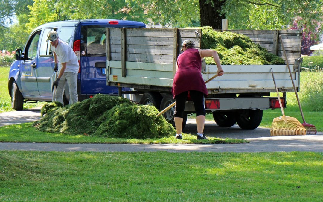 San Ramon Landscape Design