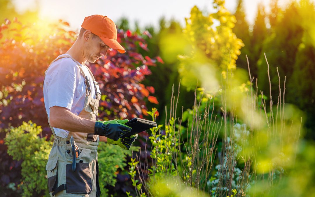 Maintain Landscaping to Protect Your Investment