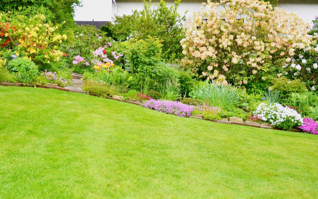The Key Steps to Landscape Your Home