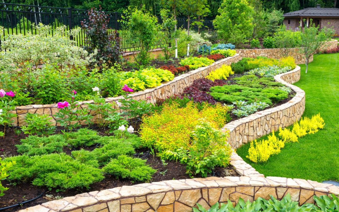 Landscape Design and garden tips