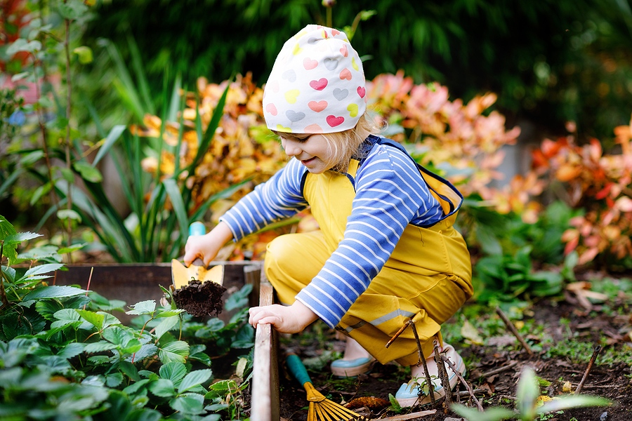 7 Easy Ways to Beautify Your Yard this Spring