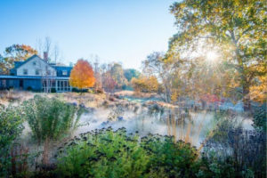 David Culp's Landscape Design garden