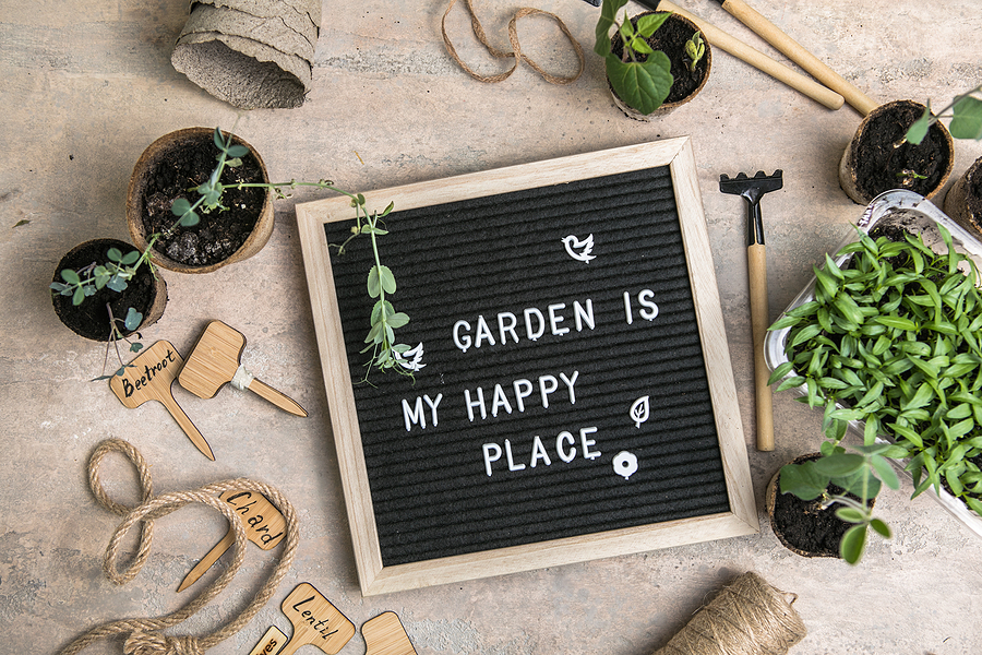 Gardening Gifts for Everyone!