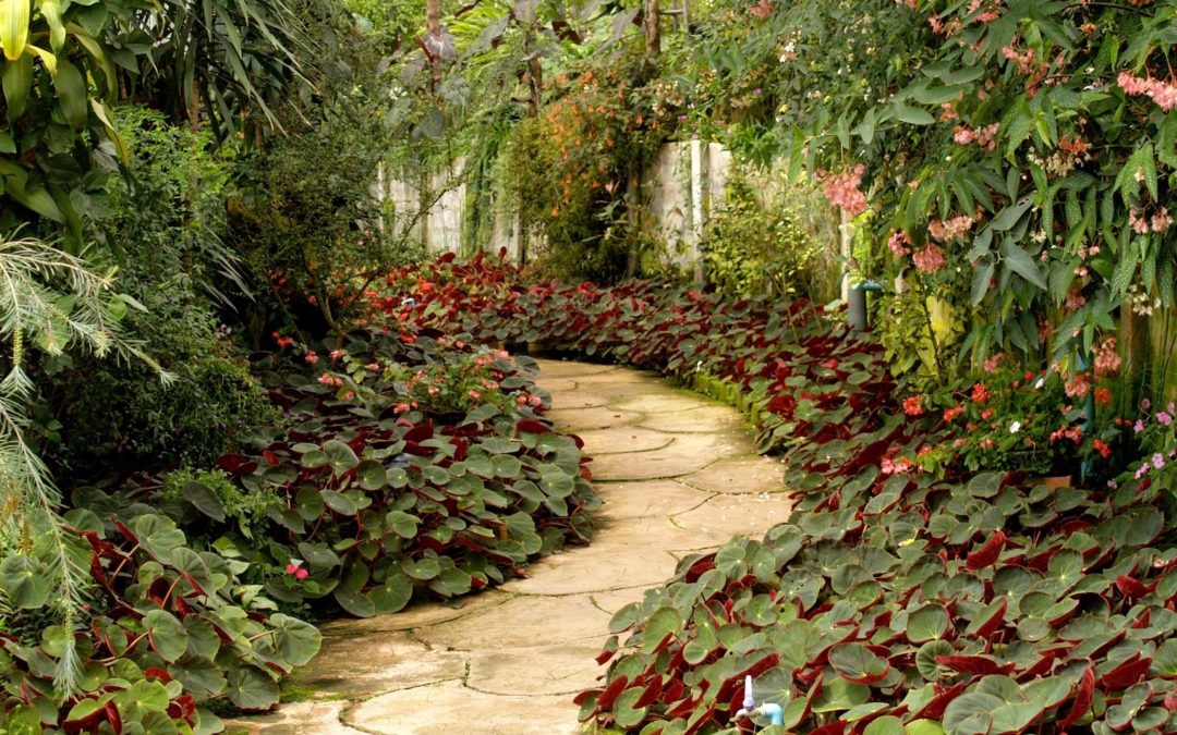 Perfect Landscape Design Ideas