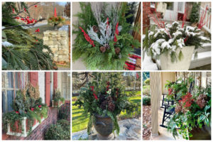 Dress Up Your Winter Garden with Containers