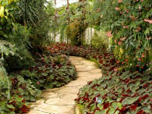  backyard landscape ideas - Natural Pathway