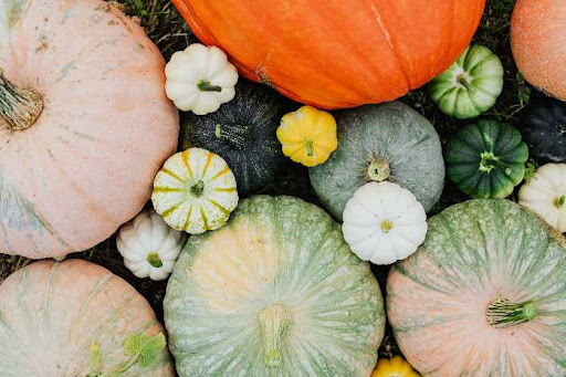 Pumpkins and Gourds Decorating