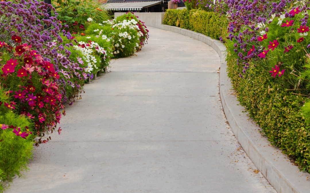 Front Yard Landscaping Ideas: How to Add More Color