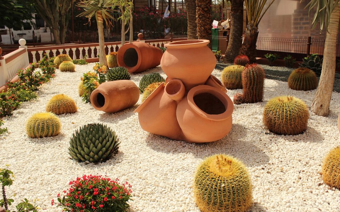 Embrace the Arid Beauty: 10 Desert Landscape Ideas for Front Yards