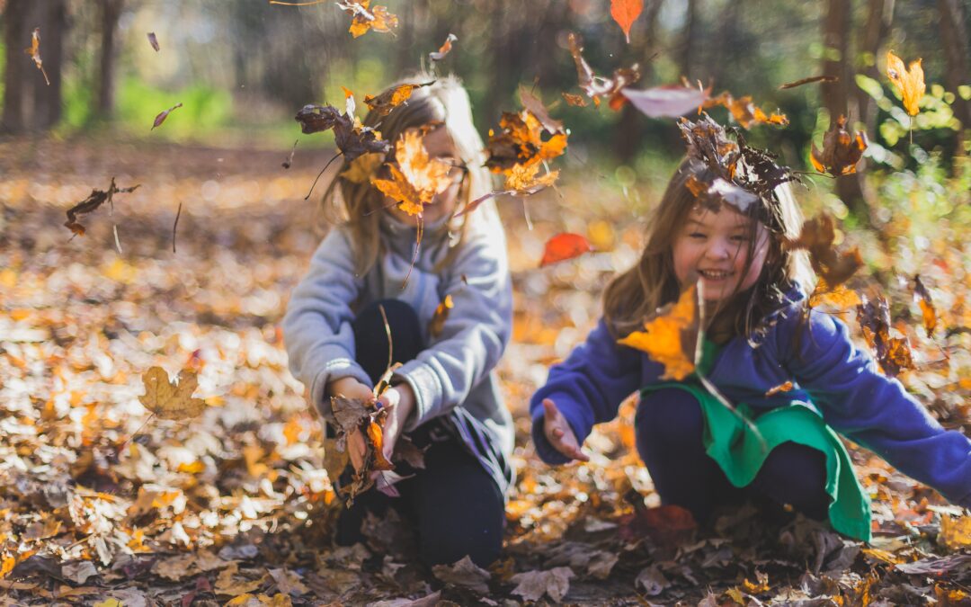 Make Memories Outside: Creating Kid-Friendly Outdoor Landscapes