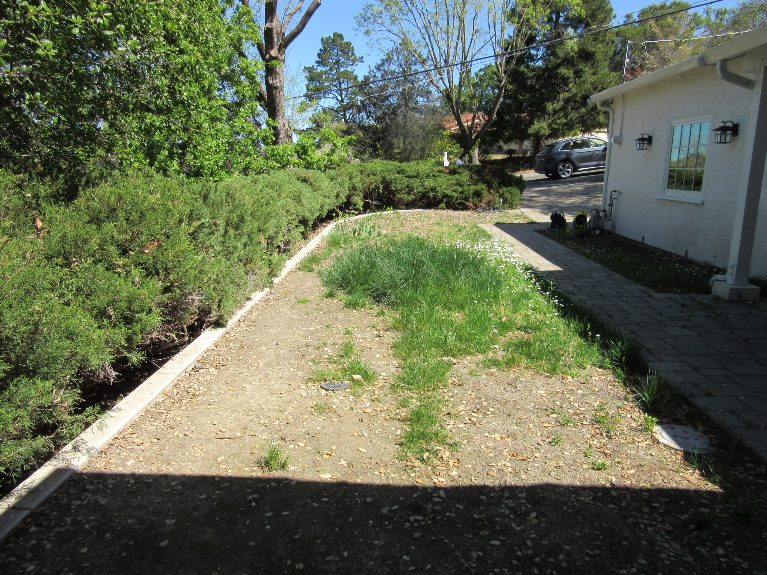 Landscaping Design