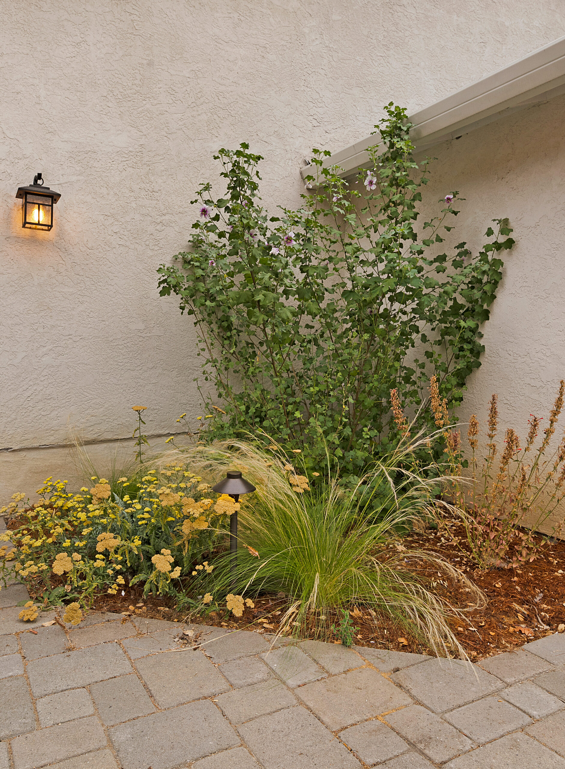 Landscaping Design