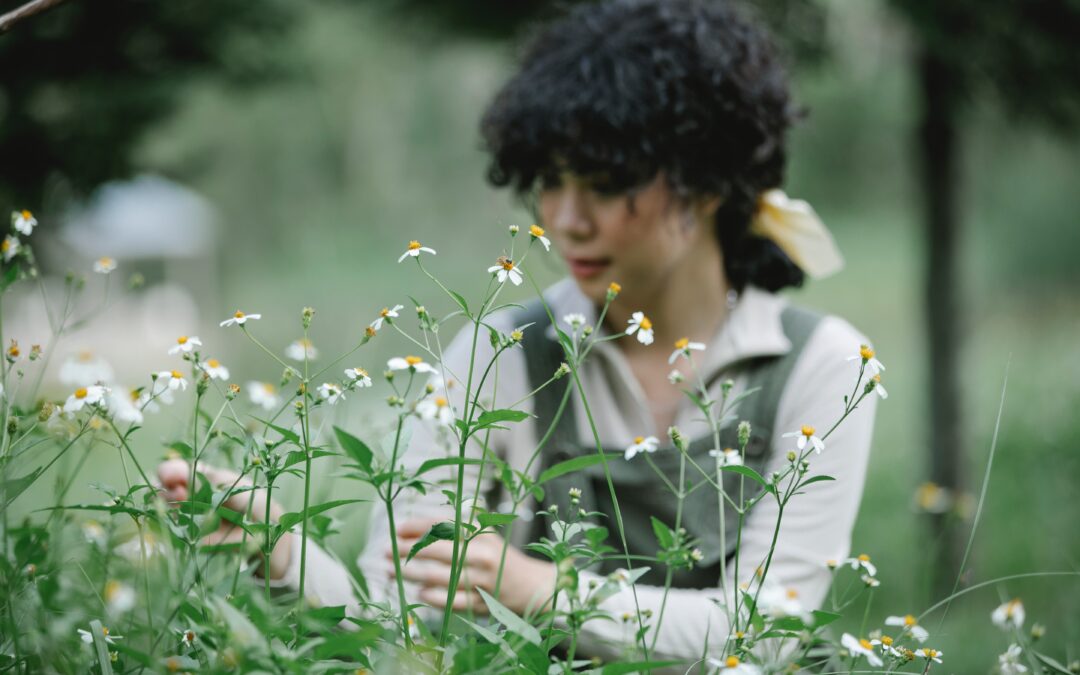 Selecting Plants for Beauty, Resilience, Habitat + Migration