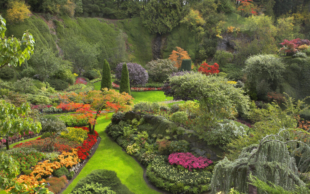From Bare to Beautiful: The Novice’s Guide to Garden Landscaping