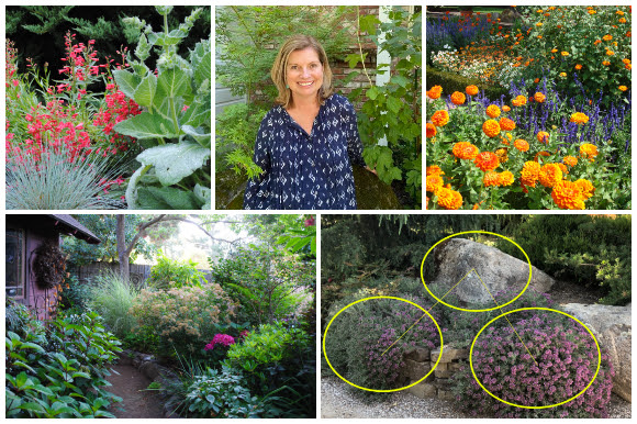 Get Ready to Break the Rules of Garden Design!