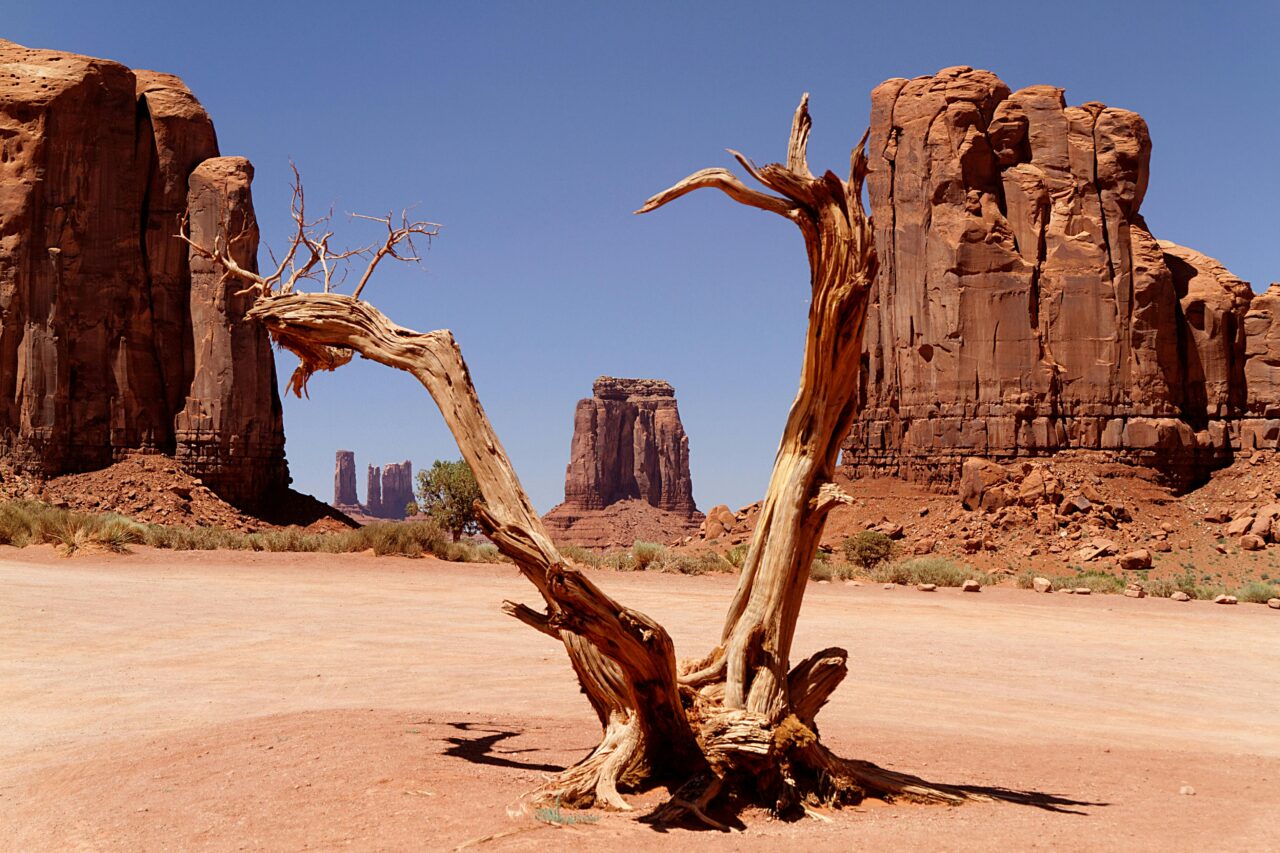 desert front yard landscape design