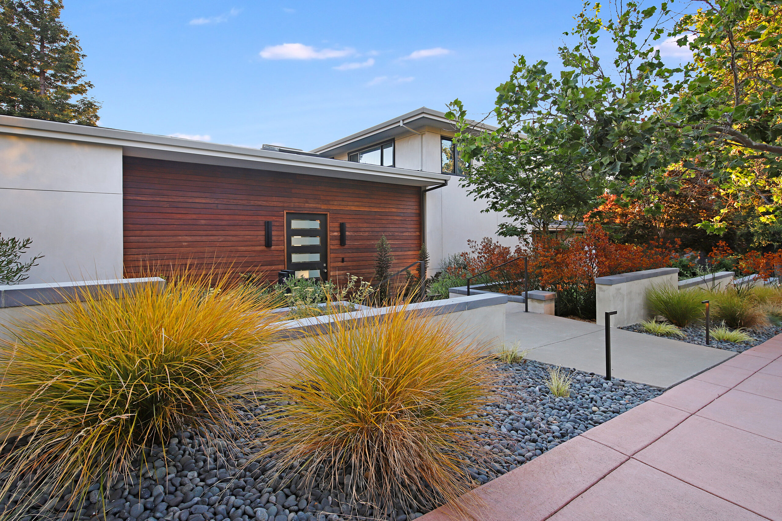Walnut Creek Landscape