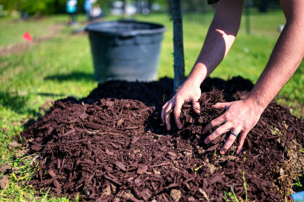 front yard landscaping ideas