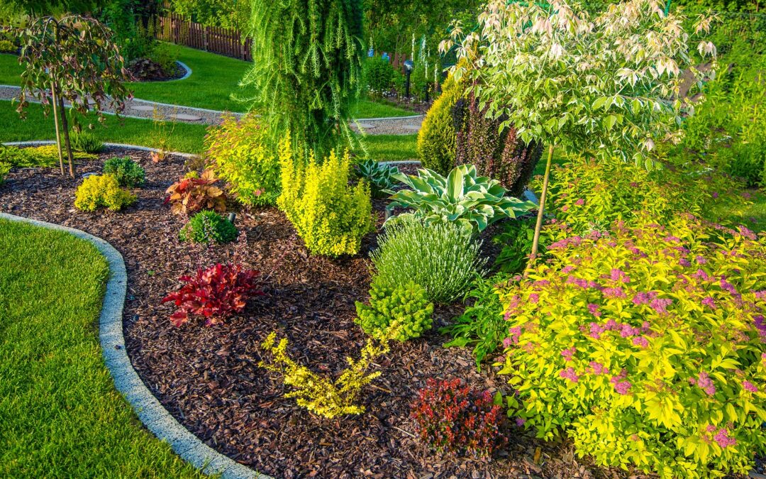 small yard landscape design